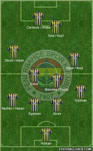 Fenerbahçe SK Formation 2013