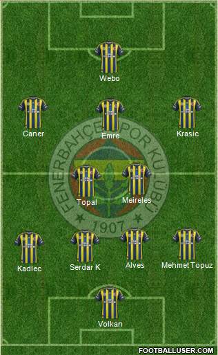 Fenerbahçe SK Formation 2013