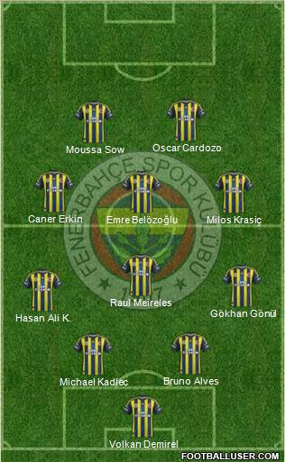 Fenerbahçe SK Formation 2013