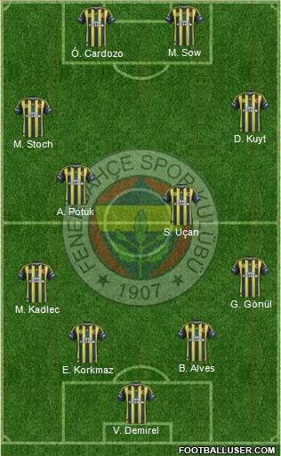 Fenerbahçe SK Formation 2013