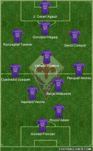 Fiorentina Formation 2013