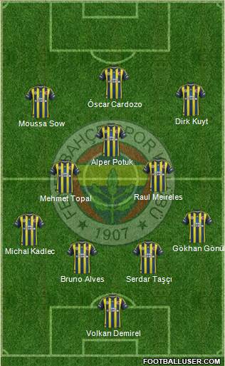 Fenerbahçe SK Formation 2013