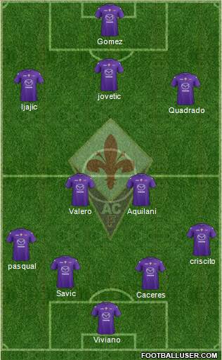 Fiorentina Formation 2013
