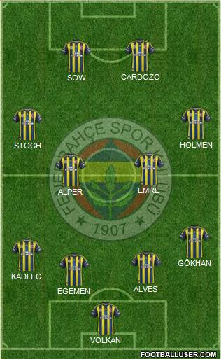Fenerbahçe SK Formation 2013