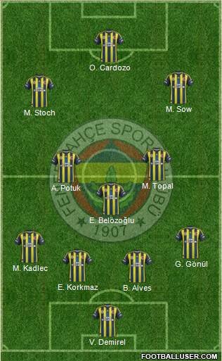 Fenerbahçe SK Formation 2013