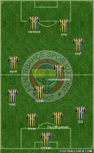 Fenerbahçe SK Formation 2013