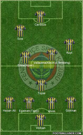 Fenerbahçe SK Formation 2013