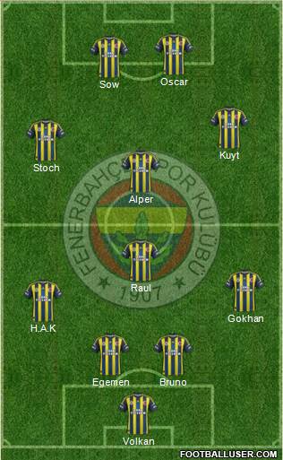Fenerbahçe SK Formation 2013