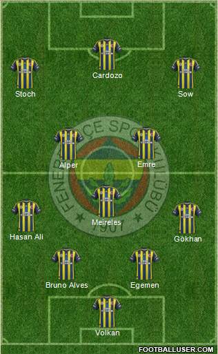Fenerbahçe SK Formation 2013