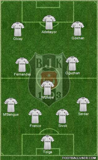 Besiktas JK Formation 2013