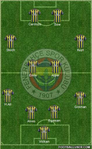 Fenerbahçe SK Formation 2013