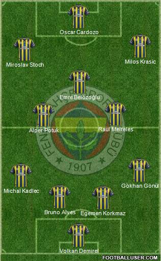 Fenerbahçe SK Formation 2013