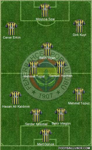 Fenerbahçe SK Formation 2013
