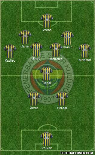 Fenerbahçe SK Formation 2013