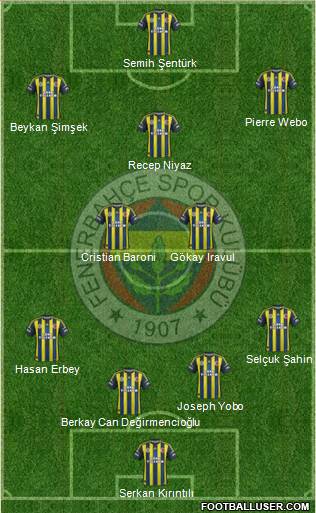Fenerbahçe SK Formation 2013
