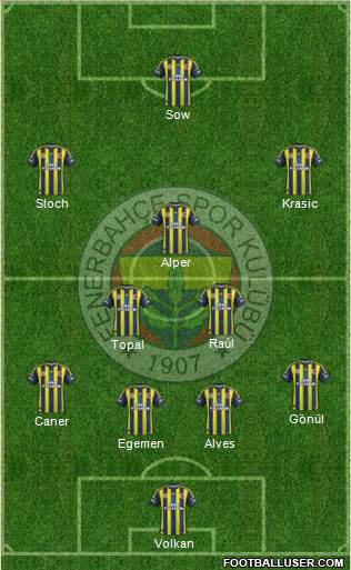 Fenerbahçe SK Formation 2013