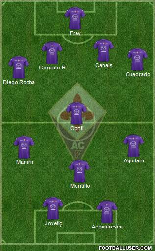 Fiorentina Formation 2013