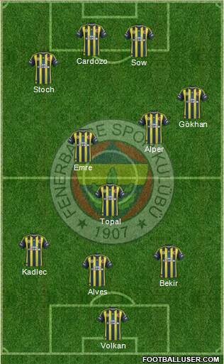 Fenerbahçe SK Formation 2013