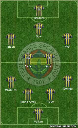 Fenerbahçe SK Formation 2013