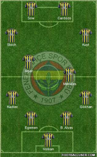 Fenerbahçe SK Formation 2013