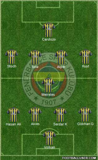 Fenerbahçe SK Formation 2013