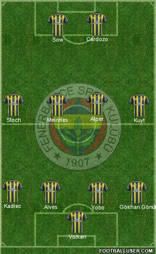 Fenerbahçe SK Formation 2013