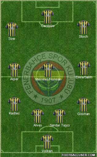 Fenerbahçe SK Formation 2013