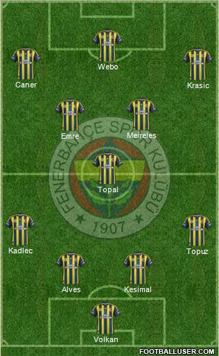 Fenerbahçe SK Formation 2013