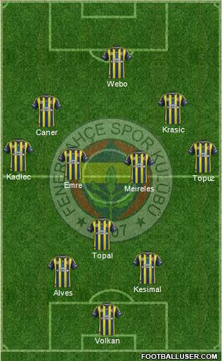 Fenerbahçe SK Formation 2013
