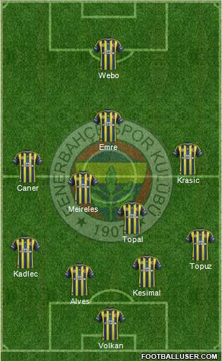 Fenerbahçe SK Formation 2013