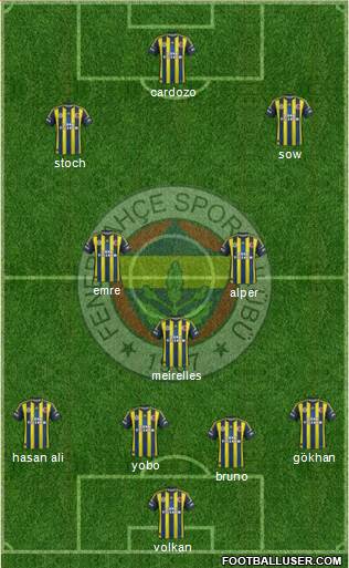 Fenerbahçe SK Formation 2013