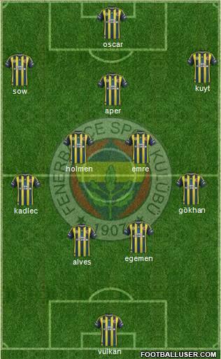Fenerbahçe SK Formation 2013