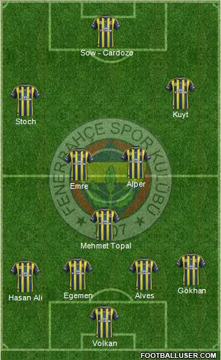 Fenerbahçe SK Formation 2013