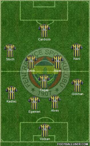 Fenerbahçe SK Formation 2013