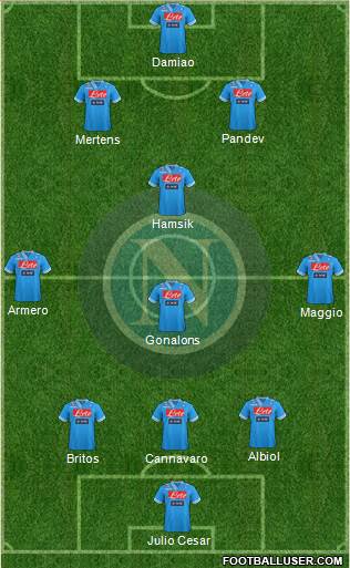 Napoli Formation 2013