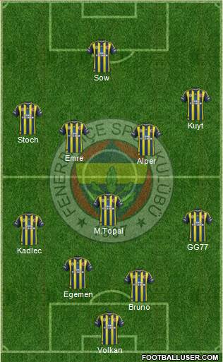 Fenerbahçe SK Formation 2013