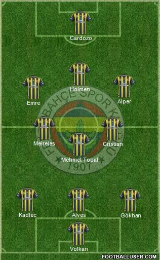 Fenerbahçe SK Formation 2013