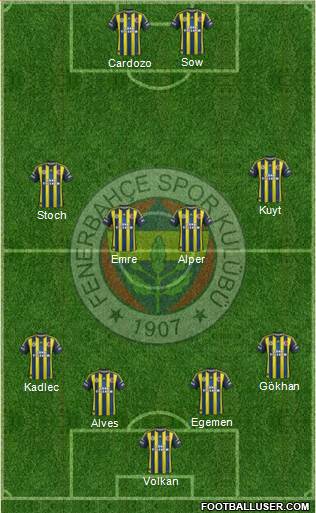 Fenerbahçe SK Formation 2013