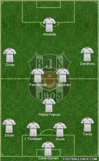 Besiktas JK Formation 2013