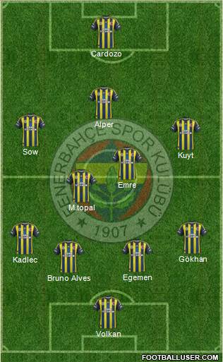 Fenerbahçe SK Formation 2013