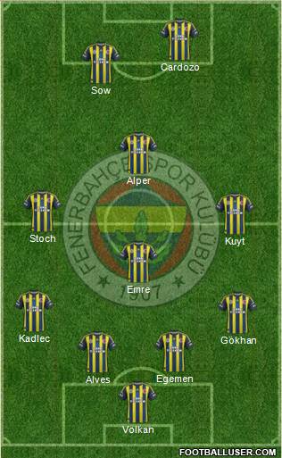 Fenerbahçe SK Formation 2013