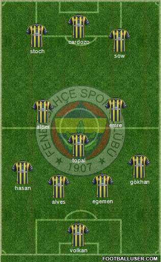 Fenerbahçe SK Formation 2013