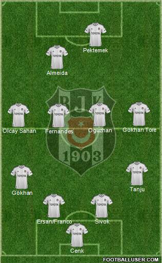 Besiktas JK Formation 2013