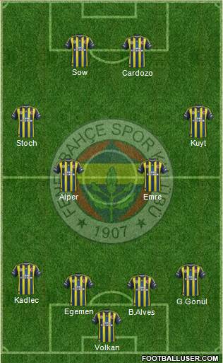 Fenerbahçe SK Formation 2013