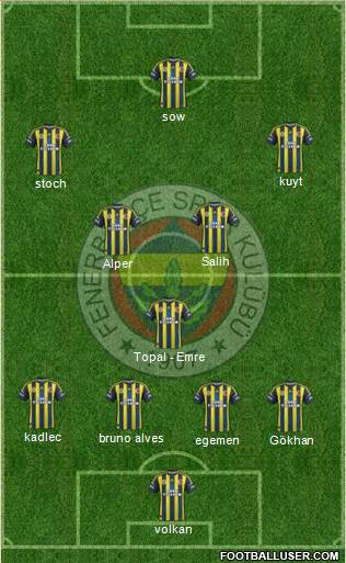 Fenerbahçe SK Formation 2013