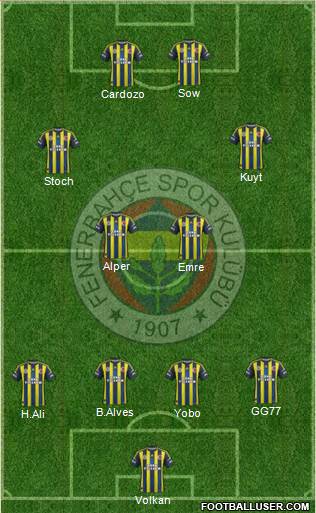 Fenerbahçe SK Formation 2013