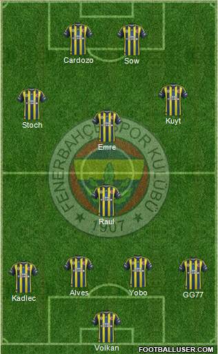 Fenerbahçe SK Formation 2013