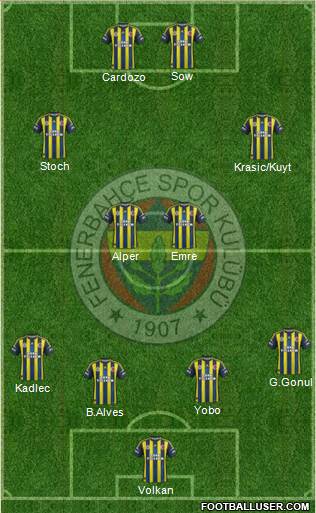 Fenerbahçe SK Formation 2013