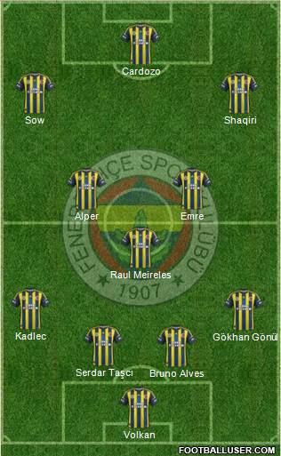 Fenerbahçe SK Formation 2013