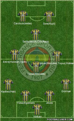 Fenerbahçe SK Formation 2013